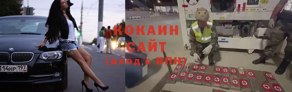 индика Покров