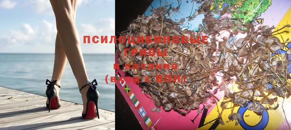 мет Медвежьегорск