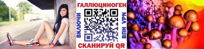 Псилоцибиновые грибы Cubensis  Нововоронеж 