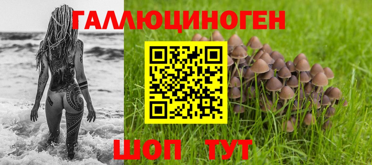 Галлюциногенные грибы Psilocybine cubensis  Вход с VPN  Нововоронеж  Псилоцибиновые грибы GOLDEN TEACHER 