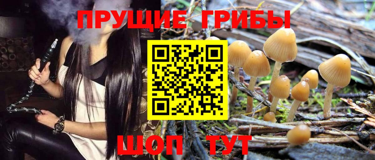 Псилоцибиновые грибы GOLDEN TEACHER Нововоронеж